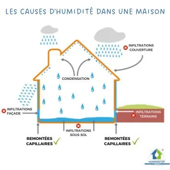 découvrez comment l'humidité et les infiltrations impactent la ville d'hérouville-saint-clair et les solutions pour y remédier efficacement.